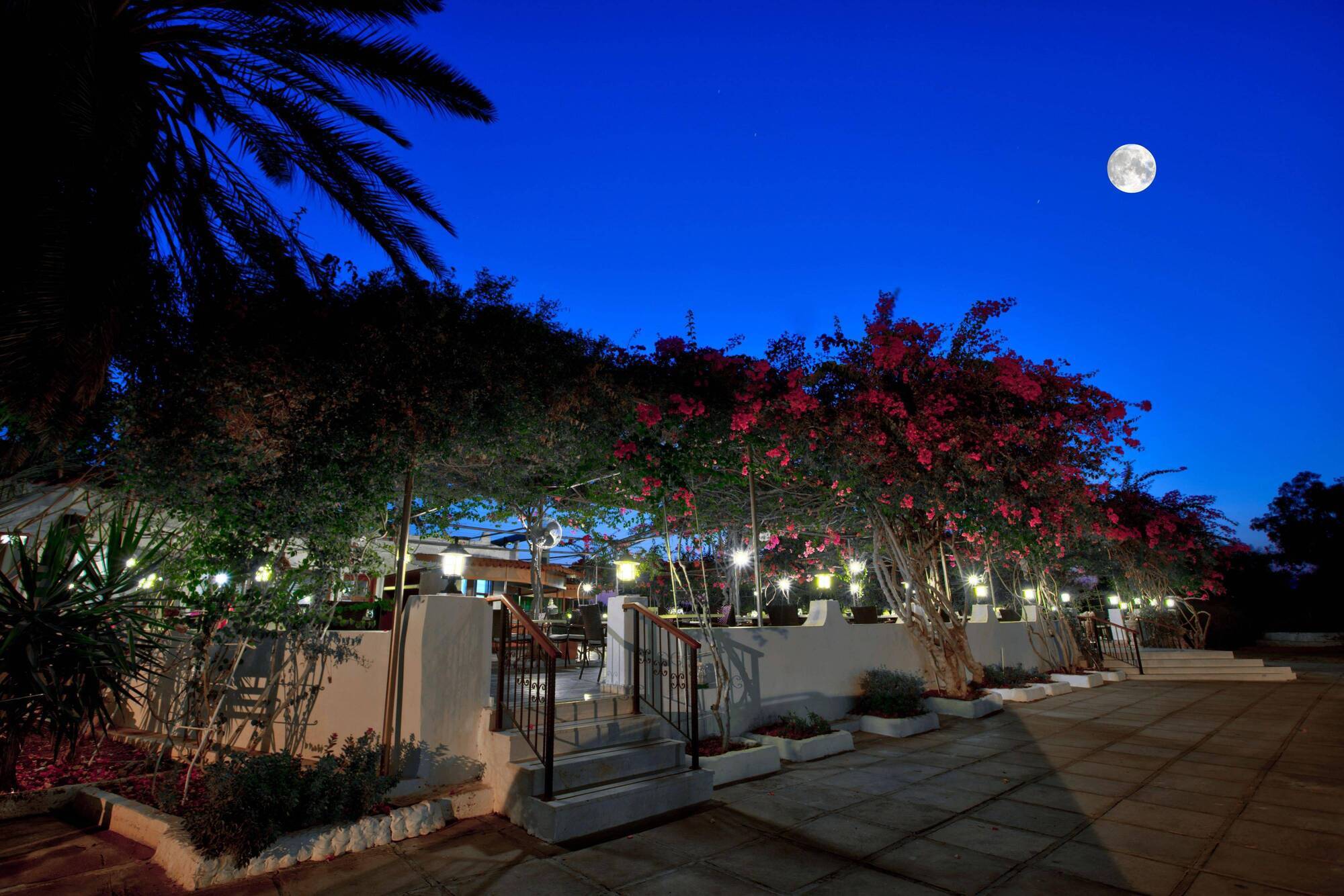 Merit Cyprus Gardens Holiday ฟามากุสต้า ภายนอก รูปภาพ